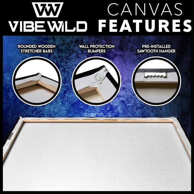 Abstract Canvas Wall Art Vibe Wild